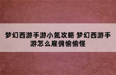 梦幻西游手游小氪攻略 梦幻西游手游怎么雇佣偷偷怪